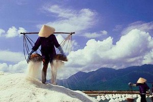 Bi kịch đường và muối: Sắp hết thời tự sướng